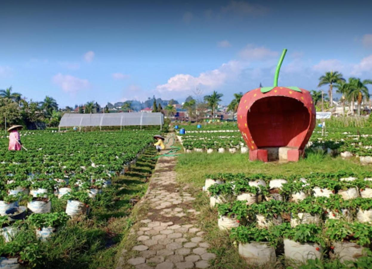 Villa Musti Green Apple Cipanas Sindanglaya Exteriör bild